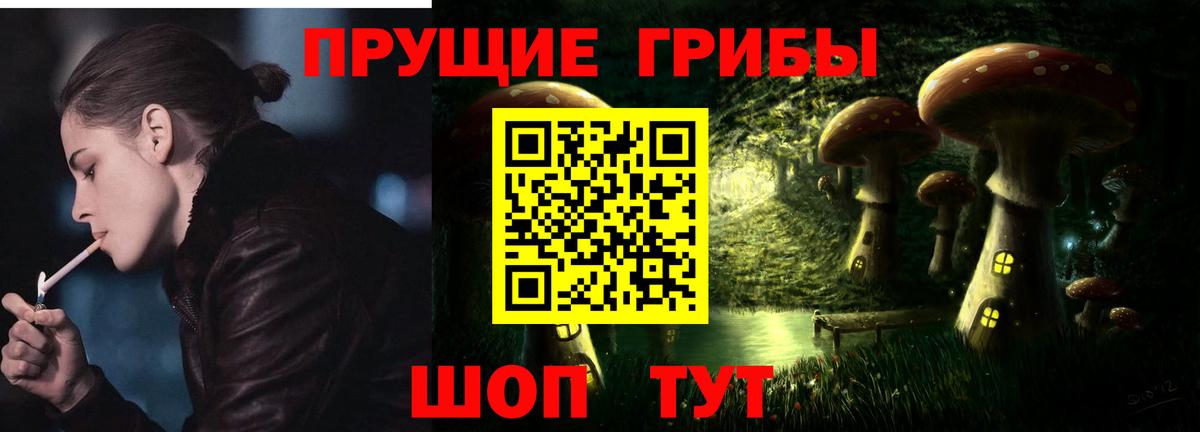 Балтийск  Галлюциногенные грибы Psilocybine cubensis  Вход с VPN 